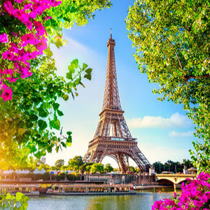 Meet your Posher, Lacey